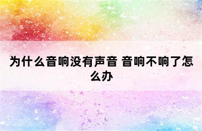 为什么音响没有声音 音响不响了怎么办